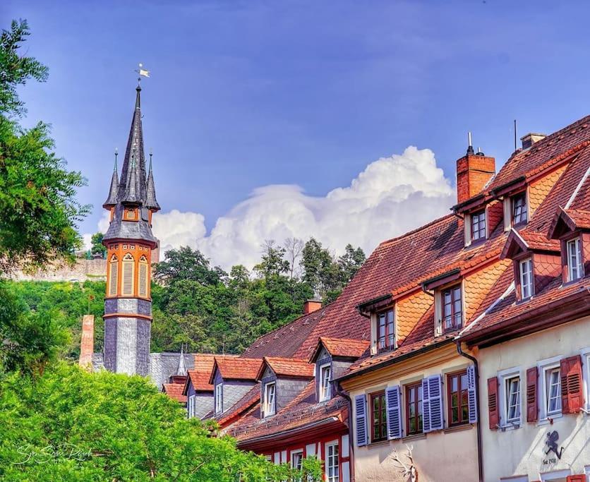 Ferienwohnung Zwischen Weinheim Und Hemsbach Bagian luar foto